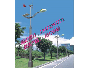 风光互补太阳能路灯FGD-33 风光互补太阳能路灯FGD-33