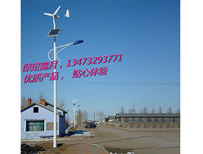 风光互补太阳能路灯FGD-32 风光互补太阳能路灯FGD-32